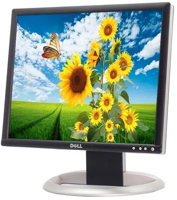 Delll UltraSharp 1905FP 19" Silver/BlackLCD Monitor 19 inch beschikbaar voor biedingen