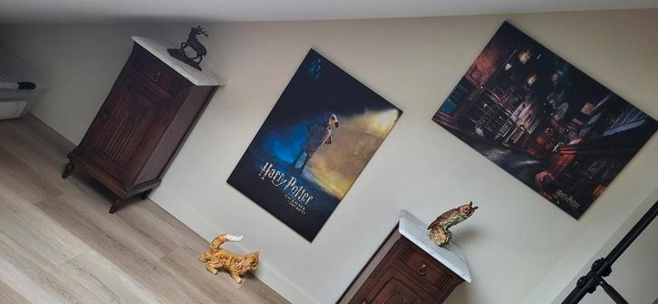 Harry Potter, Verzamelen, Harry Potter, Zo goed als nieuw, Gebruiksvoorwerp, Ophalen