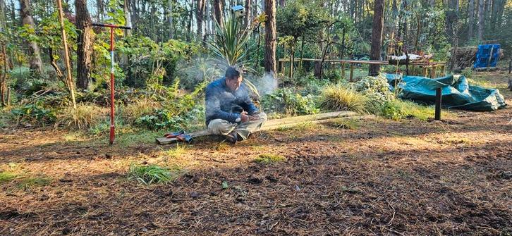 Bosgrond Luyksgestel Kavel 272, Tuin en Terras, Planten | Bomen, Overige soorten, Volle zon, Ophalen of Verzenden