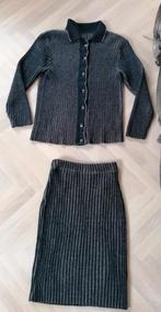 Jurgen Michaelsen set, rok en vest, bruin, S, winter, Kleding | Dames, Kostuum of Pak, Bruin, Ophalen of Verzenden, Zo goed als nieuw