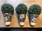 3 bloempotten met nep buxus, Ophalen, Zo goed als nieuw