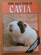 Zorg zelf voor je cavia, Ophalen of Verzenden, Gelezen
