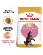 Royal Canin Maine Coon Kitten - 14 kg, Ophalen of Verzenden, Kat