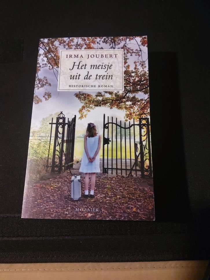 Het meisje uit de trein - Irma Joubert, Boeken, Historische romans, Zo goed als nieuw, Ophalen of Verzenden