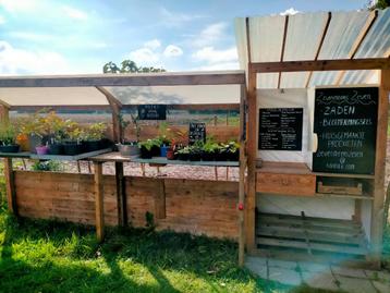 Sellingse planten en zaden beschikbaar voor biedingen