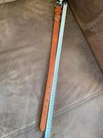 Halsband, Dieren en Toebehoren, Ophalen, Nieuw