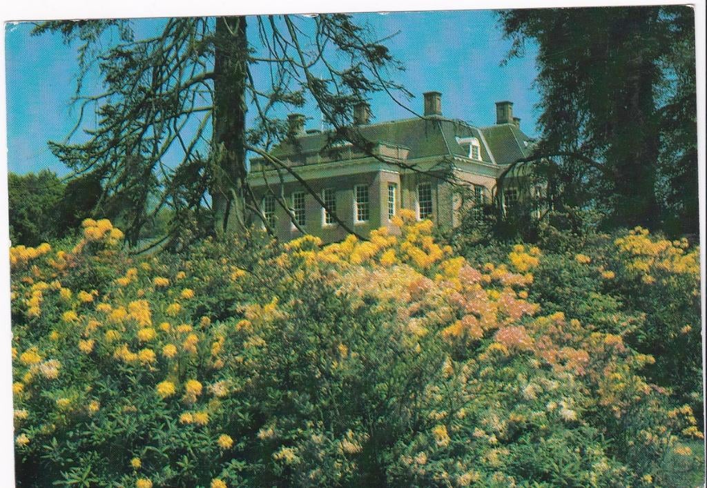 Rheden Kasteeltuin Middachten (Gld) bloeiende Azalea 1985, Verzenden, 1980 tot heden, Gelopen, Gelderland