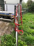 halster, Dieren en Toebehoren, Ophalen, Gebruikt, Recreatie