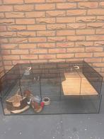 Glaze hamsterkooi, Dieren en Toebehoren, Knaagdieren en Konijnen | Hokken en Kooien, Kooi, Gebruikt, Hamster, Ophalen of Verzenden