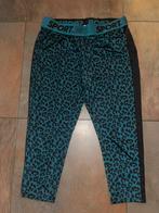 Sport broek maat XL, Kleding | Dames, Maat 46/48 (XL) of groter, Ophalen of Verzenden, Sport.365, Groen