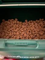 Eukanuba graanvrij zalm, Dieren en Toebehoren, Ophalen, Hond