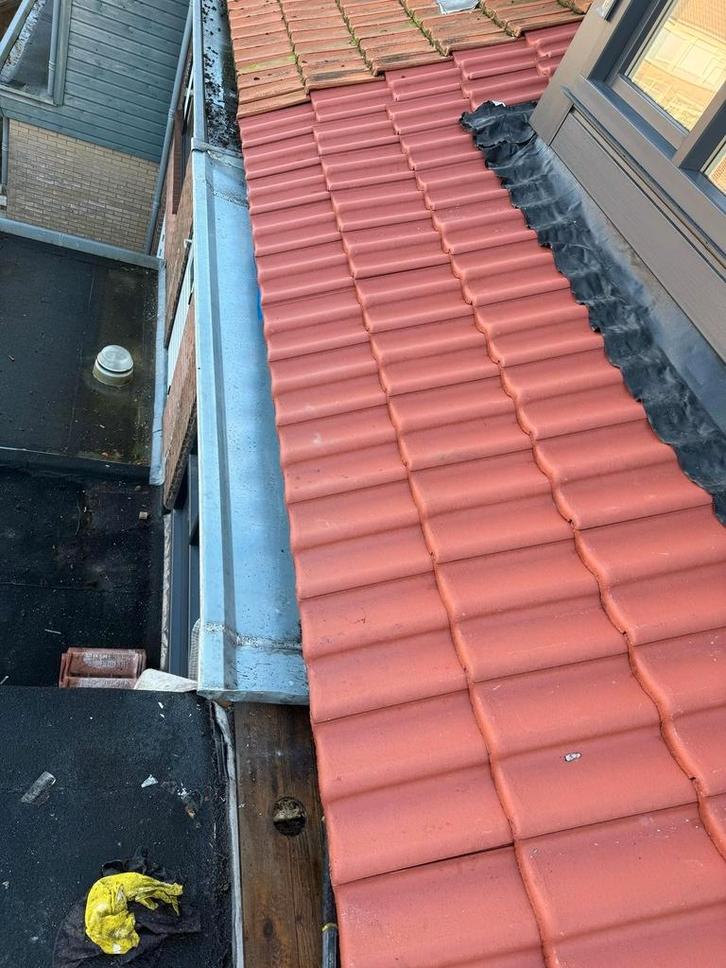 Dak en zinkwerk, Diensten en Vakmensen, Dakdekkers en Rietdekkers, Pannen, Garantie