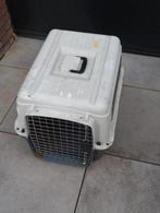 Grote reis kooi vervoer box hond of kat vliegtuig kooi
65x50, Ophalen of Verzenden, Zo goed als nieuw