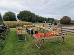 Pompoenen te koop. Verschillende soorten en maten. Oranje, Tuin en Terras, Ophalen of Verzenden