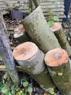 Stammen Openhaardhout, Minder dan 3 m³, Ophalen, Overige houtsoorten, Stammen