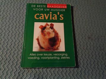 De beste raadgever voor uw huisdier CAVIA'S