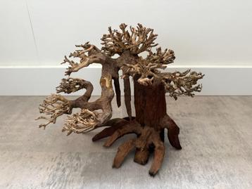 Bonsai boom aquarium hardscape Superfish driftwood M beschikbaar voor biedingen