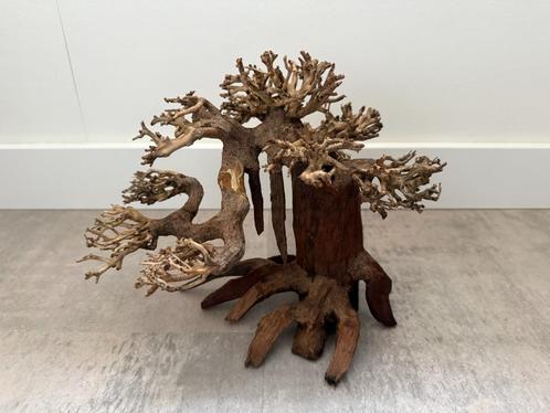 Bonsai boom aquarium hardscape Superfish driftwood M, Dieren en Toebehoren, Vissen | Aquaria en Toebehoren, Nieuw, Plant(en), Steen of Hout