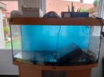 Juwel vision aquarium 260 liter led verlichting, Gebruikt, Ophalen of Verzenden, Verlichting of Verwarming