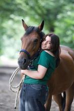 Verzorger/bijrijdster aangeboden!, Dieren en Toebehoren, Ophalen, Zo goed als nieuw