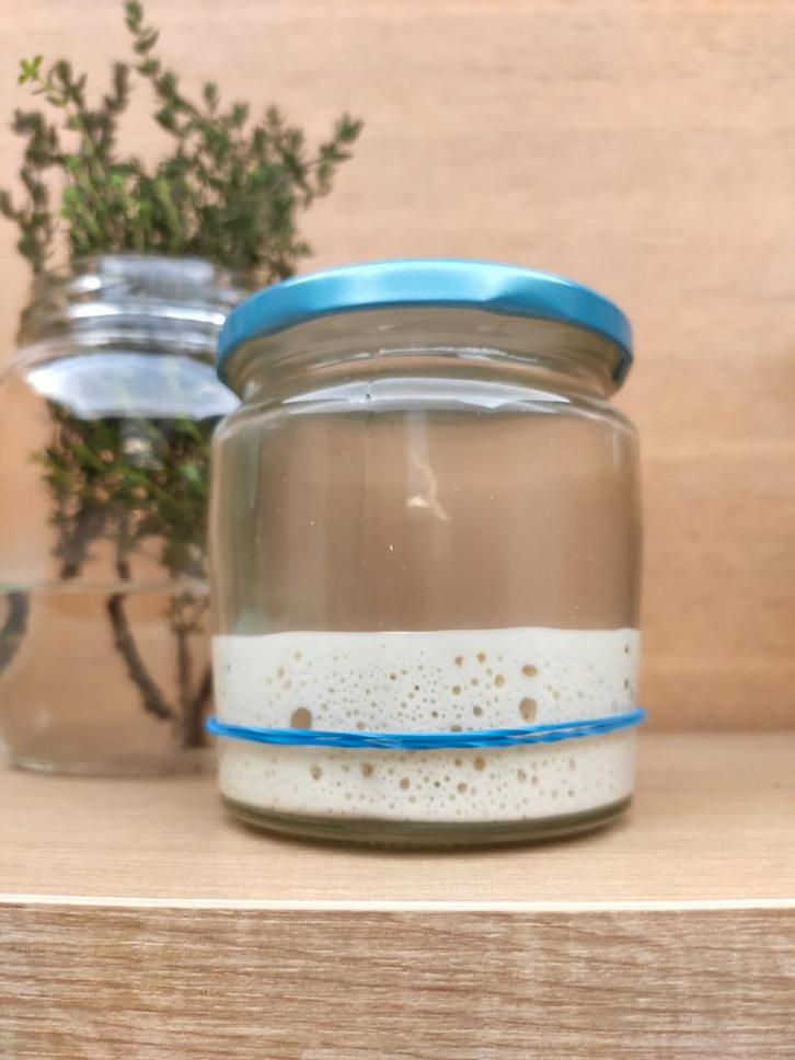 Sourdough starter | Zuurdesem starter, Diversen, Levensmiddelen, Ophalen