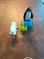 Duplo 10501-1 Zoo friends Pinguïn en IJsbeer, Ophalen of Verzenden, Zo goed als nieuw, Losse stenen, Duplo
