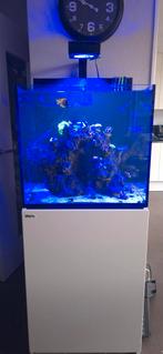 Redsea max E-170 wit, Ophalen, Leeg aquarium