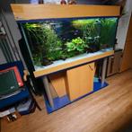 Aquarium 130 X 60 X 60 cm, Dieren en Toebehoren, Vissen | Aquaria en Toebehoren, Ophalen of Verzenden, Zo goed als nieuw, Gevuld zoetwateraquarium