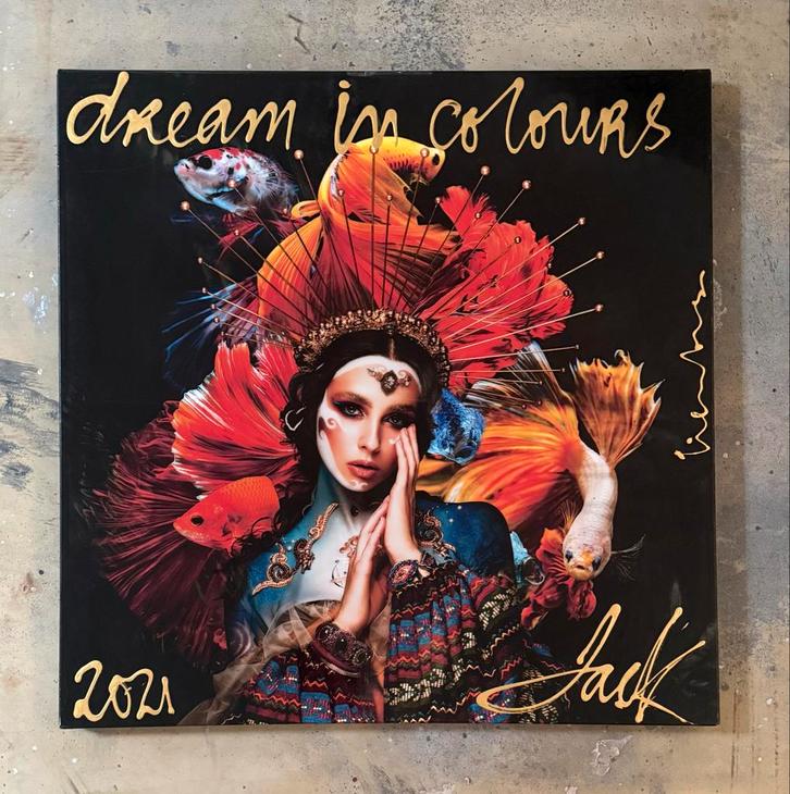 Dream in Colours – Jack Limburg, Antiek en Kunst, Kunst | Overige Kunst, Ophalen