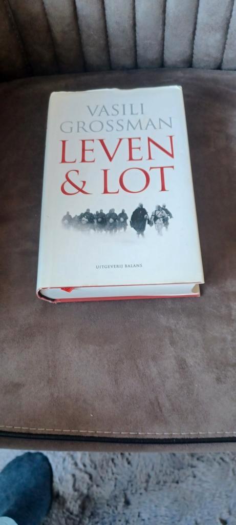 Leven en lot Vasili Grossman, Boeken, Oorlog en Militair, Zo goed als nieuw, Ophalen of Verzenden