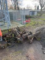 Brandhout, haardhout, kachelhout, 50 m3, 6 m³ of meer, Ophalen, Essenhout, Stammen