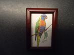 Mini schilderij papagaai van June L Hay   Btisbane, Antiek en Kunst, Verzenden