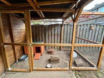 Konijnen en cavia vakantie opvang beschikbaar voor biedingen