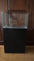 ADA Cube Garden 60-P Aquascape Aquarium (60x30x36), Dieren en Toebehoren, Ophalen, Nieuw, Leeg aquarium