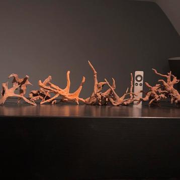 Spiderwood Set 10x Small - Kienhout Hardscape Hout Decoratie beschikbaar voor biedingen