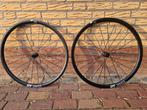 DT Swiss AR 1600 Spline wielset., Ophalen of Verzenden, Nieuw, Racefiets, Wiel