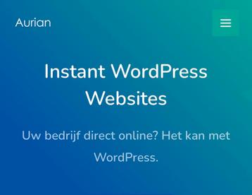 Website nodig? Morgen al online? beschikbaar voor biedingen