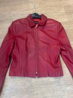 CLAUDIA STRATER 40, Kleding | Dames, Ophalen of Verzenden, Zo goed als nieuw, Maat 38/40 (M)