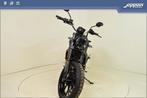 ducati scrambler icon (bj 2024), 2 cilinders, Motorrijbewijs A, Bedrijf, Meer dan 35 kW