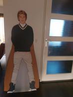 Niall Horan van One Direction cardboard op ware grote, Ophalen of Verzenden