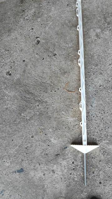 12 weipaaltjes beschikbaar voor biedingen