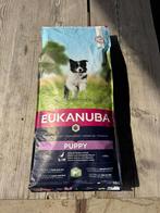 Eukanuba puppy brok, Ophalen, Hond
