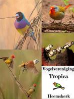 Vv Tropica maandelijkse vogelbeurs., Dieren en Toebehoren, Vogels | Toebehoren, Nieuw, Ophalen of Verzenden