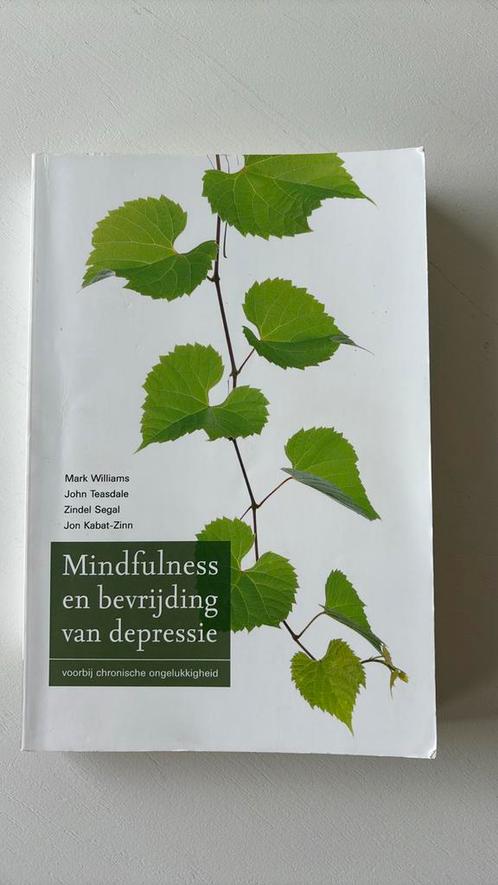 Mark Williams - Mindfulness en bevrijding van depressie, Boeken, Psychologie, Gelezen, Ophalen of Verzenden