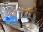 Vogelkooi met toebehoren, Ophalen, Gebruikt, Metaal, Vogelkooi