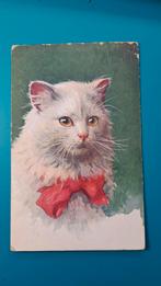 Witte kat poes met rode strik 1930 - bkwi 614-1, Verzamelen, Ansichtkaarten | Dieren, Ophalen of Verzenden, 1920 tot 1940, Gelopen