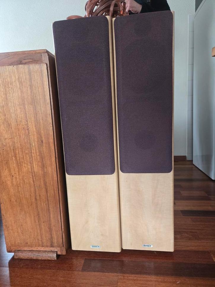 Tannoy Fusion 3 Speakers - Weinig Gebruikt, Audio, Tv en Foto, Luidsprekers, Zo goed als nieuw, Front, Rear of Stereo speakers