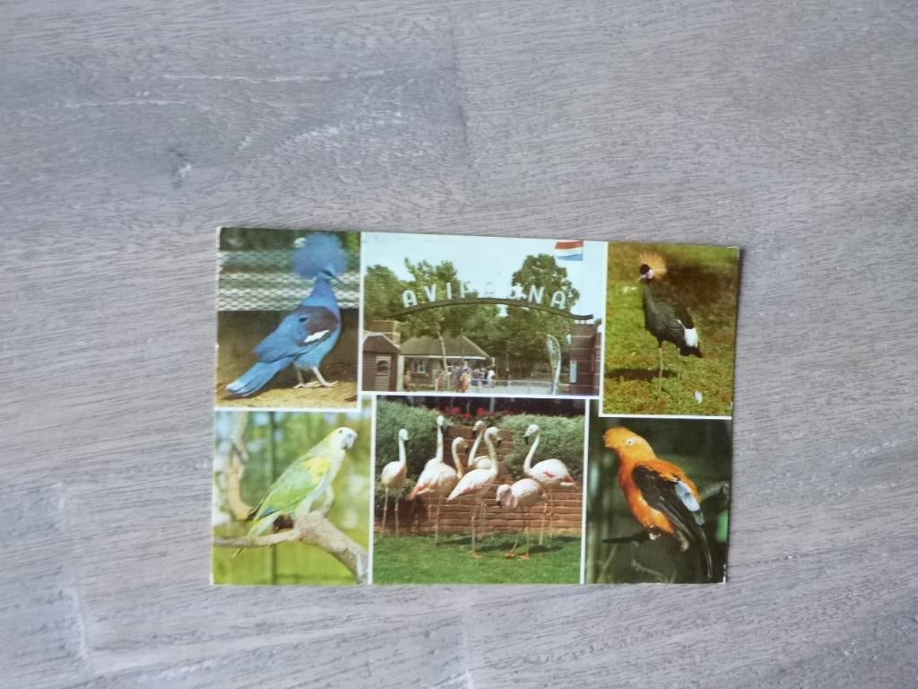 Alphen a/d Rijn, Avifauna 1969, Ophalen of Verzenden, 1960 tot 1980, Gelopen, Zuid-Holland
