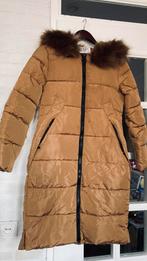 Mooie nette winterjas, Kleding | Dames, Ophalen of Verzenden, Zo goed als nieuw, Maat 38/40 (M)