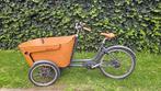 Babboe Carve Mountain E-Flow bakfiets, Gebruikt, Elektrisch, 2 kinderen, Ophalen